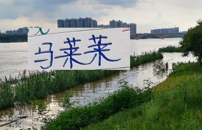 双色球开奖结果-如何防隔壁豪华版的马莱莱 是海港穆帅新赛季要应对的一个课题|上海海港|上海申花|超级杯|鲁迪·盖伊|何塞·穆里尼奥_新浪体育_新浪新闻